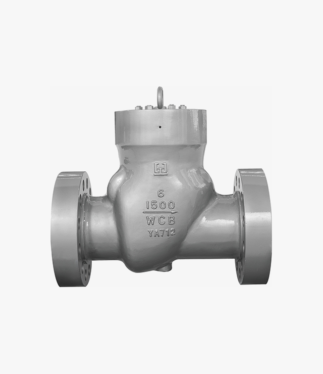 Power station check valve