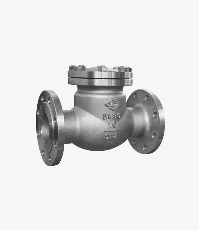 Swing Check Valve