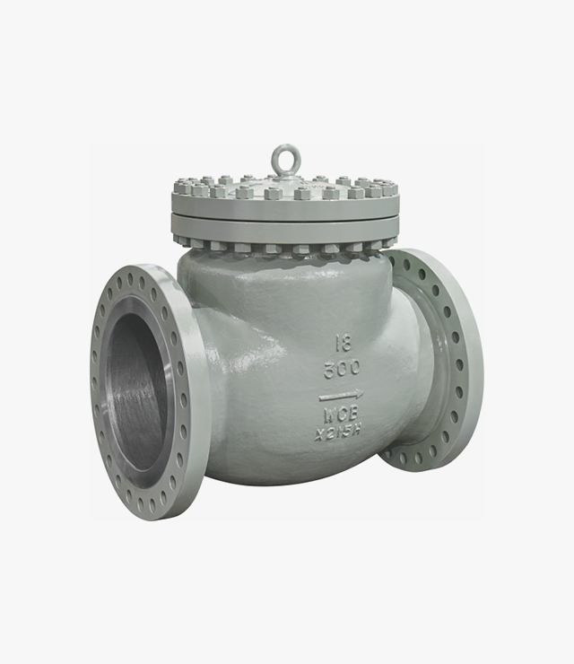 API Standard Check Valve